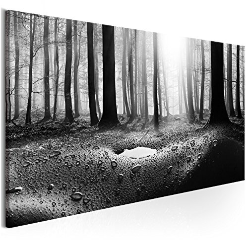 decomonkey Akustikbild Wald 120x40 cm 1 Teilig Bilder...