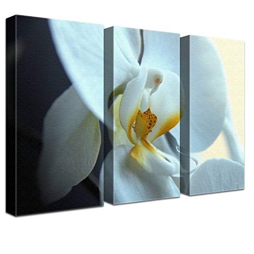 LANA KK Luxus Ausführung - Leinwandbild"Dream Zoll mit Blumen auf 4 cm Echtholz-Keilrahmen, Bunt, 120 x 80 x 4 cm, dreiteilig