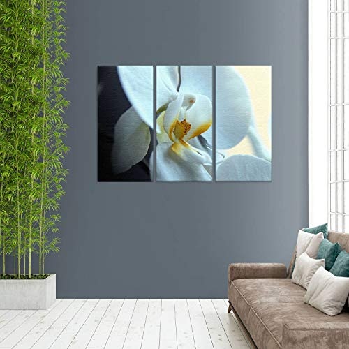 LANA KK Luxus Ausführung - Leinwandbild"Dream Zoll mit Blumen auf 4 cm Echtholz-Keilrahmen, Bunt, 120 x 80 x 4 cm, dreiteilig