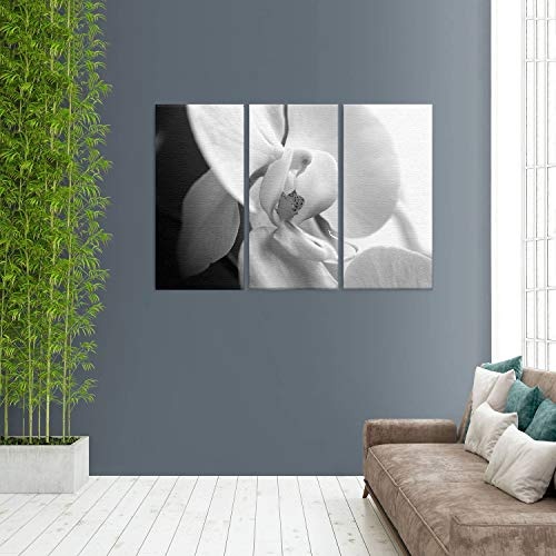 LANA KK Luxus Ausführung - Leinwandbild"Dream BW" mit Blumen auf 4 cm Echtholz-Keilrahmen, Bunt, 120 x 80 x 4 cm, dreiteilig