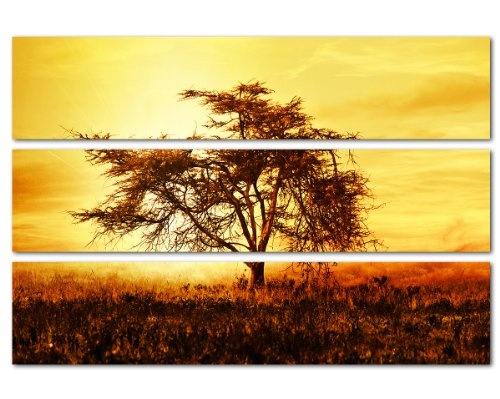 African Dreams 140x100 cm - 3 teiliges Leinwandbild...