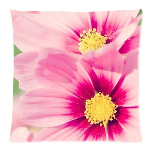 zhengpeng Beautiful Fantasy Charming Spring Autumn Flower Road Sea Blossom Unique Pink White Day Dream Cosmos Throw Pillow Cover Art Decorative Pillow Case 18"x18"(Two Sides)