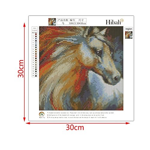 qisuw DIY 5D Diamant (Pferd) -staron Full HSS-Stickerei Strass Gemälde Kreuzstich Colorful Dream Kit Wand Art Decor von Nummer Kits Home Decor