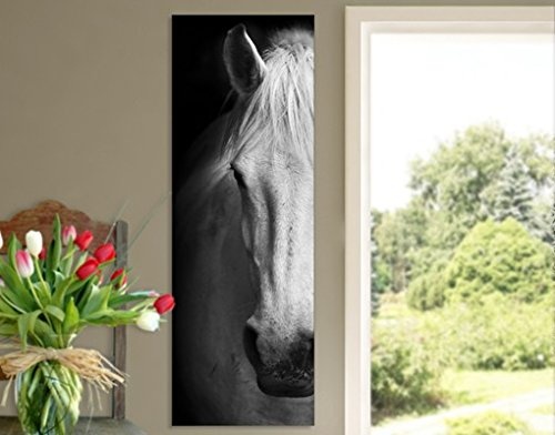 Canvas Art Dream of A Horse Slender Leinwandbilder,...