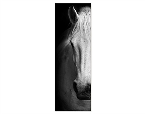 Canvas Art Dream of A Horse Slender Leinwandbilder,...