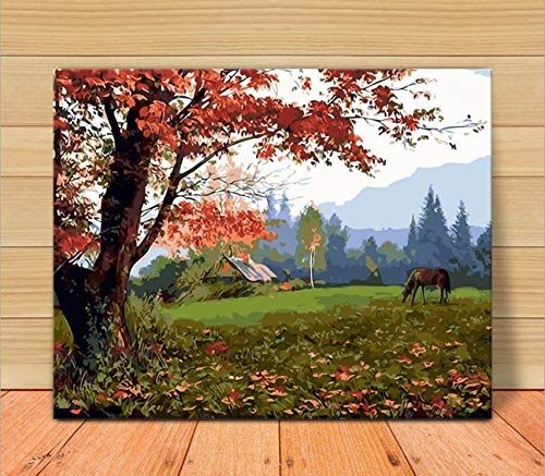 LISHIHAOZY  DIY Oil Painting Digital, Canvas Digital Oil Painting Wall Art Painting for Family Living Room Office Decoration Gift Dream