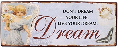 Schild - Dont dream your life, live your dream ! - Metall 40 cm Blechschild Wandschild Vintage Lebe Deinen Traum