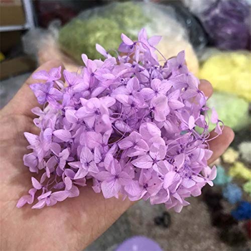 WOOAI 3 g/Lock, natürliche frische konservierte Blumen, getrocknete Hortensien Blumenkopf für DIY Ewiges Leben Blumen Material 8