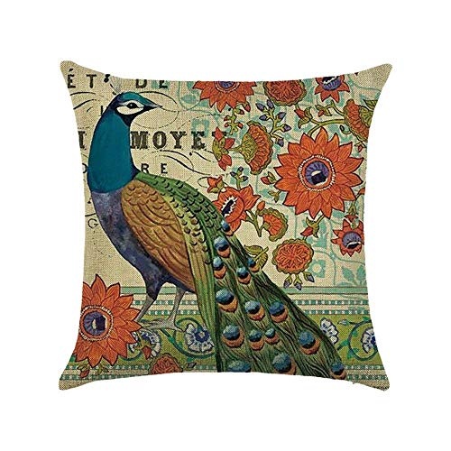KLYDH Bird Peacock Art Throw Pillow Double Sided Cushion...