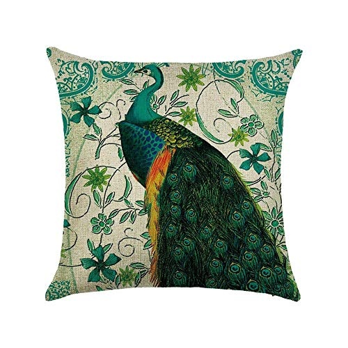 KLYDH Bird Peacock Art Throw Pillow Double Sided Cushion Covers Home Sofa Decor Gift Feather (22),Cover Size:18 x 18 Inch(45cm x 45cm)