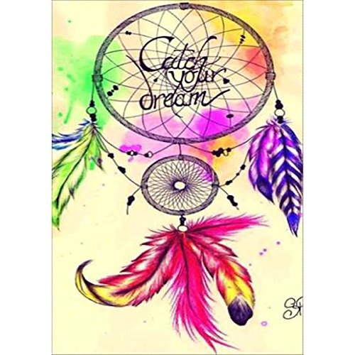 DIY 5D Diamond Painting, Crystal Rhinestone Embroidery Pictures Arts Craft for Home Wall Decor Color Dream Catcher 11.8 x 15.7