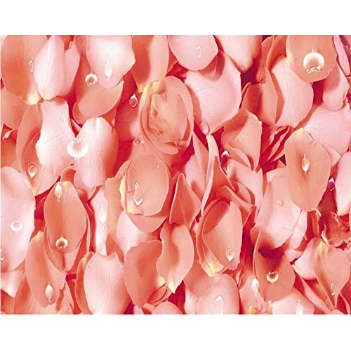 Finloveg  Photo Wallpaper Dream Pink Rose Petal...