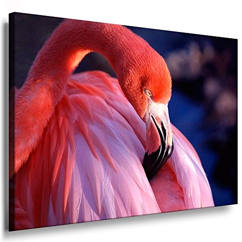 Fotoleinwand24 - Tiere Abstrakt Rosa Flamingo / AA0048 /...