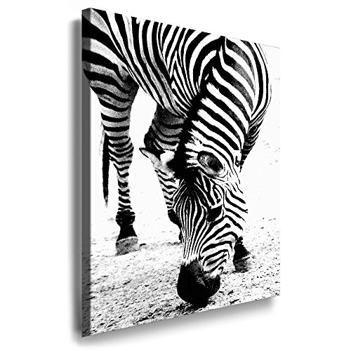 Fotoleinwand24 - Tiere Abstrakt Zebra / AA0072 / Fotoleinwand auf Keilrahmen/Schwarz-Weiß / 150x100 cm