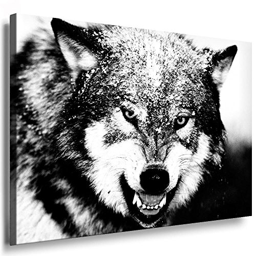 Fotoleinwand24 - Tiere Abstrakt Wolf / AA0071 / Fotoleinwand auf Keilrahmen/Schwarz-Weiß / 150x100 cm