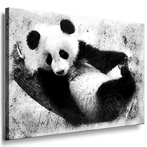 Fotoleinwand24 - Tiere Abstrakt Der Panda / AA0064 / Fotoleinwand auf Keilrahmen/Schwarz-Weiß / 150x100 cm