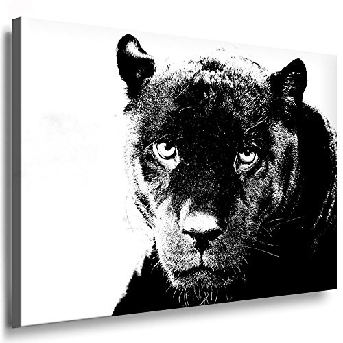 Fotoleinwand24 - Tiere Abstrakt Schwarzer Panther / AA0047 / Fotoleinwand auf Keilrahmen/Schwarz-Weiß / 150x100 cm