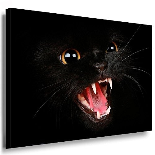 Fotoleinwand24 - Tiere Abstrakt Zischende Katze / AA0060 / Fotoleinwand auf Keilrahmen/Farbig / 150x100 cm