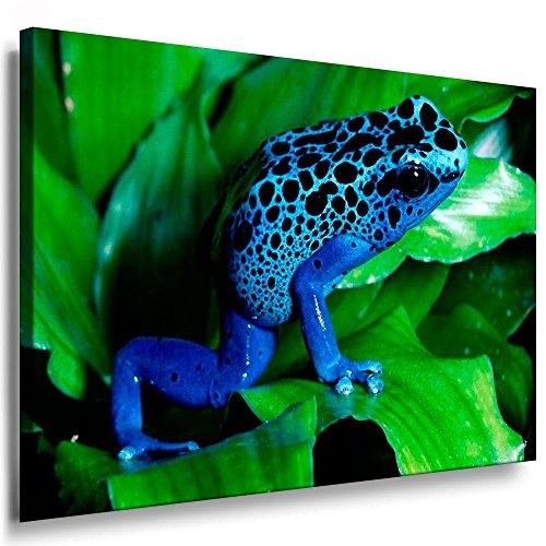 Fotoleinwand24 - Tiere Abstrakt Blauer Frosch / AA0043 / Fotoleinwand auf Keilrahmen/Farbig / 150x100 cm
