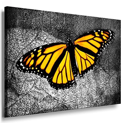 Fotoleinwand24 - Tiere Abstrakt Schmetterling / AA0042 / Fotoleinwand auf Keilrahmen/Schwarz-Weiß / 150x100 cm