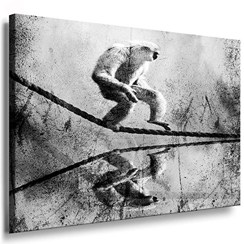 Fotoleinwand24 - Tiere Abstrakt Das Gibbon / AA0056 / Fotoleinwand auf Keilrahmen/Schwarz-Weiß / 150x100 cm
