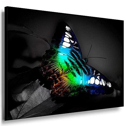 Fotoleinwand24 - Tiere Abstrakt Schmetterling / AA0055 / Fotoleinwand auf Keilrahmen/Farbig / 150x100 cm