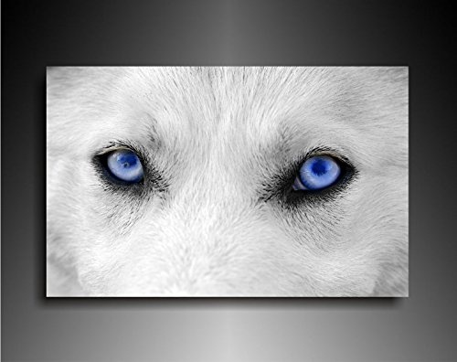 Bild auf Leinwand - Tiere Wolfsaugen - Fotoleinwand24 / AA0668 / Bunt / 120x80 cm