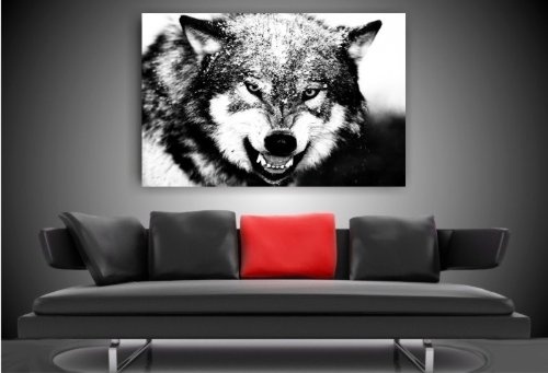 Bild auf Leinwand - Tiere Wolf - Fotoleinwand24 / AA0667 / Bunt / 120x80 cm