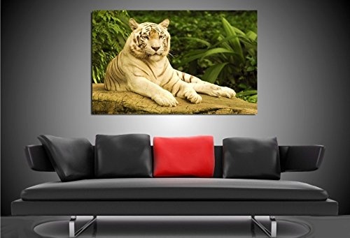 Bild auf Leinwand - Tiere Tiger - Fotoleinwand24 / AA0666...