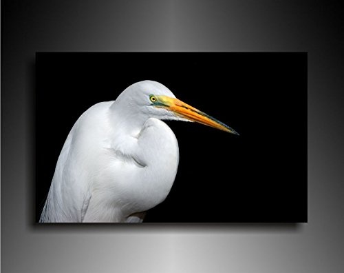 Bild auf Leinwand - Tiere Storch - Fotoleinwand24 / AA0664 / Bunt / 120x80 cm