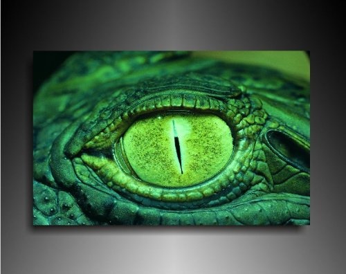 Bild auf Leinwand - Tiere Reptilienauge - Fotoleinwand24...