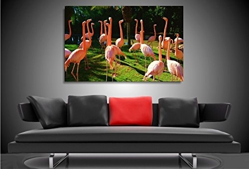 Bild auf Leinwand - Tiere Flamingos - Fotoleinwand24 / AA0634 / Bunt / 120x80 cm