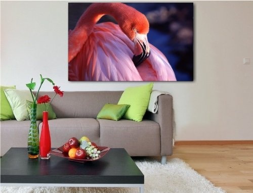 Bild auf Leinwand - Tiere Flamingo - Fotoleinwand24 /...