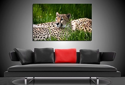Bild auf Leinwand - Tiere Leopard - Fotoleinwand24 / AA0650 / Bunt / 120x80 cm