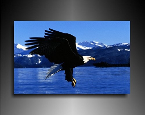 Bild auf Leinwand - Tiere Adler - Fotoleinwand24 / AA0628 / Bunt / 120x80 cm
