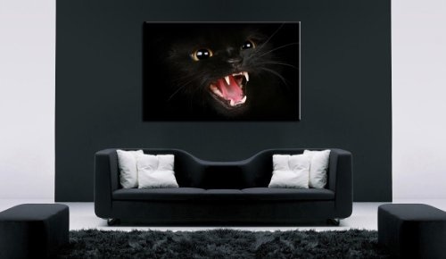 Bild auf Leinwand - Tiere Zischende Katze - Fotoleinwand24 / AA0669 / Bunt / 120x80 cm
