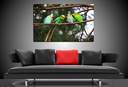 Bild auf Leinwand - Tiere Grüne Papageien -...