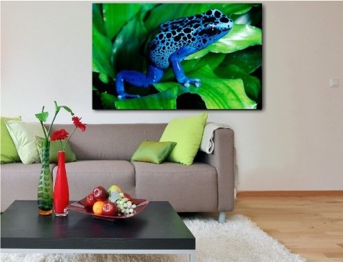 Bild auf Leinwand - Tiere Blauer Frosch - Fotoleinwand24 / AA0630 / Bunt / 120x80 cm