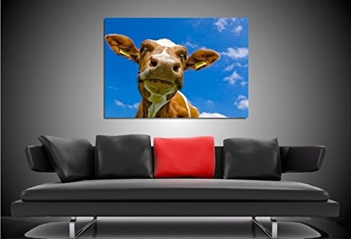 Bild auf Leinwand - Tiere Kuh Gesicht - Fotoleinwand24 /...