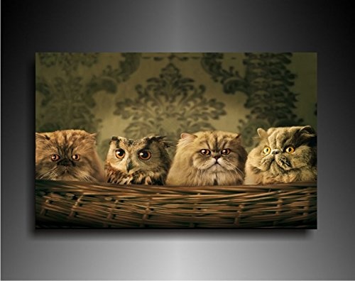 Fotoleinwand24 Bild auf Leinwand - Tiere Eule unter Katzen AA0631 / Bunt / 120x100 cm