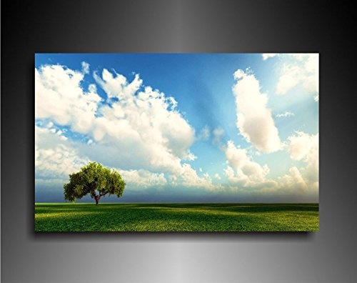 Bild auf Leinwand - Landschaft Wiese Baum - Fotoleinwand24 / AA0620 / Bunt / 100x70 cm