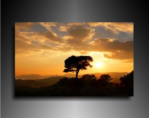 Bild auf Leinwand - Landschaft Sonnenuntergang Baum - Fotoleinwand24 / AA0565 / Bunt / 120x80 cm