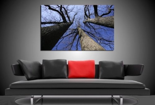 Bild auf Leinwand - Landschaft Bäume - Fotoleinwand24 / AA0523 / Bunt / 120x80 cm