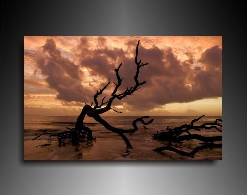 Bild auf Leinwand - Landschaft Toter Baum Strand -...