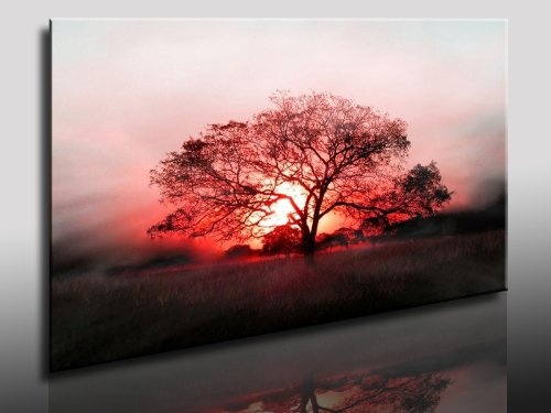 Bild auf Leinwand - Landschaft Baum Abenddämmerung - Fotoleinwand24 / AA0521 / Bunt / 120x80 cm