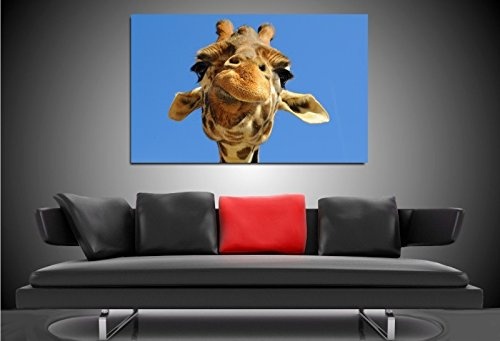 Bild auf Leinwand - Tiere Giraffe Gesicht - Fotoleinwand24 / AA0637 / Bunt / 120x80 cm