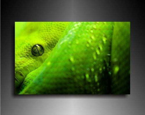 Bild auf Leinwand - Tiere Grüne Schlange -...
