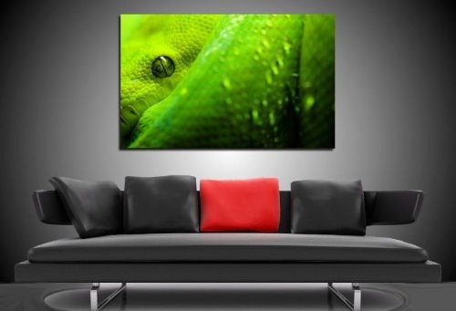 Bild auf Leinwand - Tiere Grüne Schlange - Fotoleinwand24 / AA0640 / Bunt / 120x80 cm