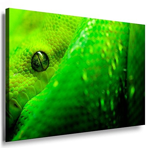 Fotoleinwand24 - Tiere Abstrakt Grüne Schlange / AA0052 / Fotoleinwand auf Keilrahmen/Farbig / 150x100 cm