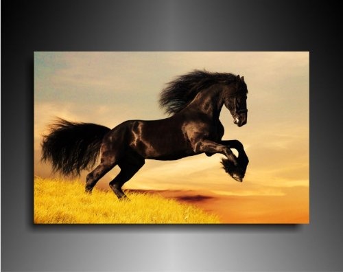 Bild auf Leinwand - Tiere Pferd - Fotoleinwand24 / AA0657 / Bunt / 120x80 cm